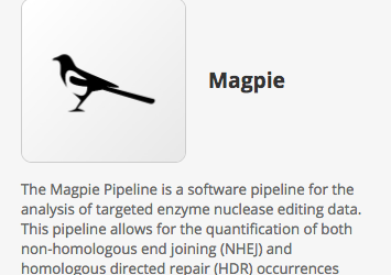 Introducing Magpie – a Multiplexed Automated Gene Editing Evaluation Pipeline