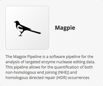 Introducing Magpie – a Multiplexed Automated Gene Editing Evaluation Pipeline